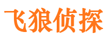 大丰市调查公司